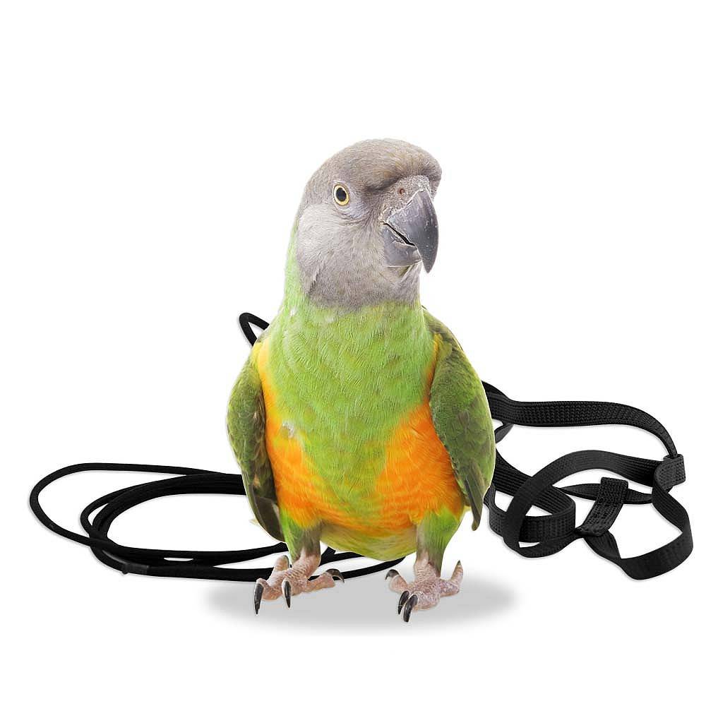 Aviator – Harness – размер XS Авиатор- Харнес- Нагръдник Оборудване-Аксесоари Всички продукти