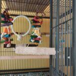 Каменна Абразивна Кацалка за оформяне на нокти и клюн –  28 см x 40 мм