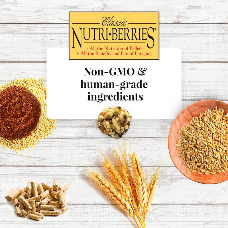 Lafeber Nutri-Berries – Корела, Розела, Монашески и др. 284 гр. ПАЗАРУВАНЕ ПО МАРКА Lafeber Храни и лакомства Храни за малки и средни папагали Гранулирани храни Лакомства и Други Всички продукти